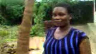 video of worlds biggest and tallest cassava