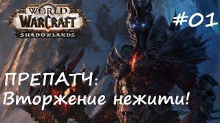 Препатч Вторжение Плети - WoW Shadowlands 2020