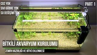 Planted Aquarium Walstad Setup - Soil and Plants