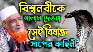 বিশ্বনবীকে সালাম দেয়া সেই সাপের কাহিনী মাওঃ বজলুর রশিদ মিঞা  Bozlur Roshid New Bangla Waz 2022