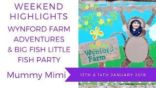 Wynford Farm Park Soft Play & Big Fish Little Fish Family Friendly RaveParty