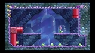 Super Mario Bros  Wonder - Bluebird Roost