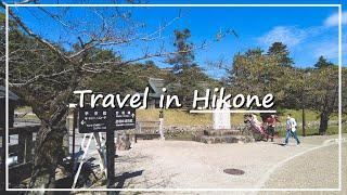 【Japan Walk】Path to Hikone Castle the Designated National Treasure  Hikone City in Shiga