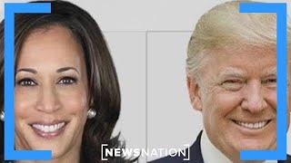 Trump Harris tie among Wisconsin voters Poll  NewsNation Now