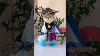 Have a colorful summer with the special barista Wanderer #catsofyoutube #foodlover #tiktok