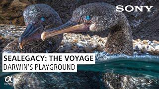 Darwins Playground SeaLegacy The Voyage Episode 7  Shot on Sony