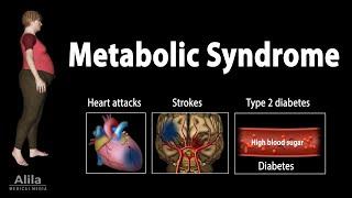 Metabolic Syndrome Animation