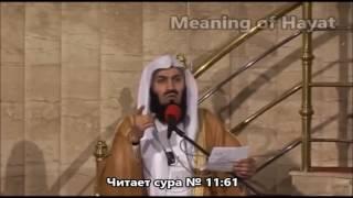 Истории Пророков - 09 Салих мир ему рассказывает Исмаил Ибн Муса Менк
