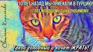 Все по прежнему через десять лет. Что изменилось у нас в Турции. Махмутлар Аланья Турция.