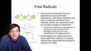 BIOL1322 Chapter 8 Summary