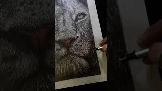 How to draw a lion art of white lion realistic sketch of lion #shorts