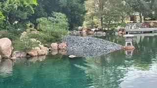 Japanese Friendship Garden in Phoenix Arizona. Tour and info.