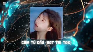 Chờ Người Từ Lúc Nắng Dần Buông...Cẩm Tú Cầu Remix - Nhạc HOT Trend Tik Tok 2024