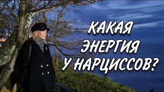 Может ли нарцисс быть близнецовым пламенем?