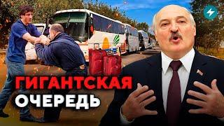 Автобусы стоят  Украина даст гражданство  Освобождение узников  Новости Беларуси