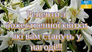 Рецепти з божественної квітки які вам стануть у нагоді