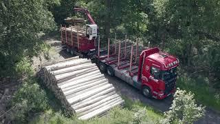 Pfau GmbH - Ihr Partner in der Forstwirtschaft