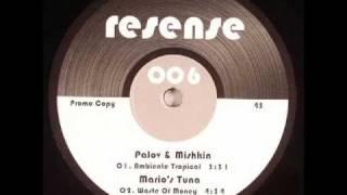 Palov & Mishkin - Ambiente Tropical.wmv