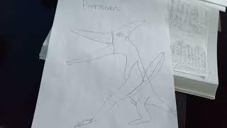 Pteranodon Facts Look in the Description for the Information.