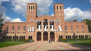 day in the life  UCLA winter quarter senior