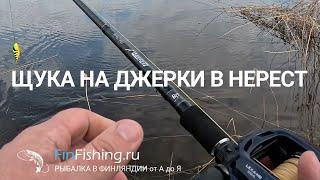 Ловля щуки на джеркбейты в нерест. Рыбалка в Финляндии