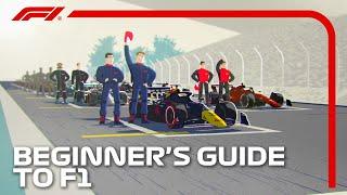 Beginners Guide to F1