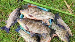 CRUCIAN CARP MONSTERS ON THE FLOAT FISHING FOR LARGE CRUCIAN CARP IN SPRING