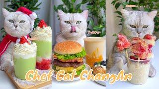 【Chef Cat ChangAn】 NEW Wonderful Compilation of  2 Weeks    #CatCookingFood #FunnyCatVideos