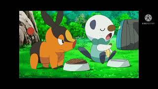 Oshawott tries to steal tepigs food