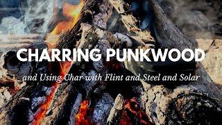 Charring Punk Wood and Using Char with Flint and Steel and Solar