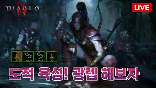 디아블로4 S4 탄막 도적 100렙 찍자