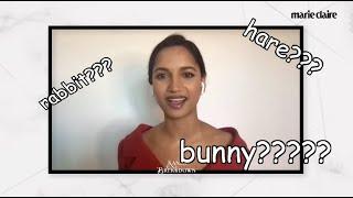 amita suman and the rabbit bunny hare incident