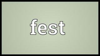 Fest Meaning