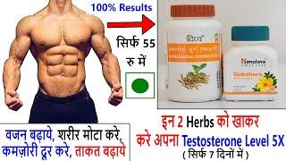 Testosterone Kaise Badhaye  इन दो Herbs को खाकर अपना Testosterone करे 5X - Under 100 Rs