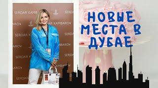 Чем можно заняться в Дубае?  Новые места футуристический парк Aya Парк крокодилов.