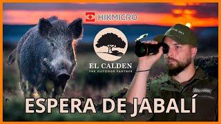  ESPERA DE JABALÍ con El Caldén  Probando el monocular térmico HIKMICRO FALCON FQ50