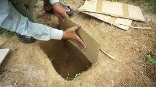 Amazing  Quail Bird  Trap Using Box & Hole