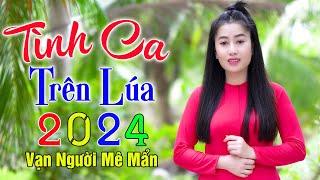 TÌNH CA TRÊN LÚA ️ Mở Nhẹ Nhàng Liên Khúc Rumba Cực HayNgủ Cực Say. Thúy Duy Hoàng Diễn