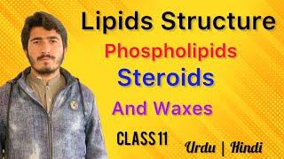 Lipids Structure Types and Functions of lipids Parts 2