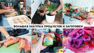 Закупка продуктов с ценами  Заготовки в морозилку  Новости  Солю рыбу  Покупки для сада