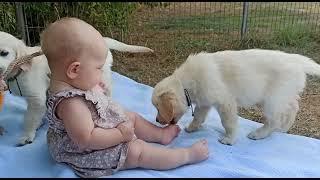 Little 6 months old Baby with little 7 weeks old puppies - they are so cute together