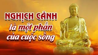 Nghịch Cảnh Là Một Phần Của Cuộc Sống I Nghịch Cảnh Tiết Lộ Bản Chất Một Người - QUAN NIỆM SỐNG