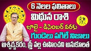 6 నెలల ఫలితాలు  Mithuna Rasi Phalalu 2024 Telugu  Mithuna Rasi Phalalu 2024-2025 Gemini Horoscope