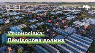 Utkonosivka Tomatoes Valley · Ukraїner