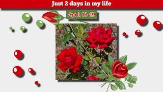 April 18 -19 Just 2 days in my life