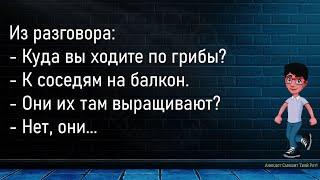 Подходит Мужик К Рыбаку...Большой Сборник Смешных АнекдотовДля Супер Настроения