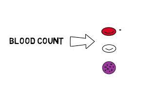 What is a blood count complete blood count or CBC?