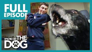Worlds Smallest Bodyguard Rex  Full Episode  Its Me or the Dog
