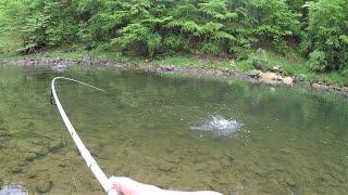 RIVER FISHING for Trout Bass & Sunfish