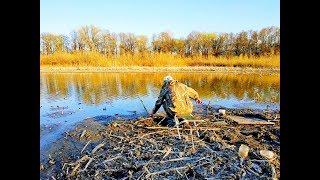 В ЭТОЙ ЛУЖЕ ПОЛНО РЫБЫ КАРАСЬ ЛИНЬ РОТАН Рыбалка на поплавок